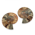 MainImage - Sticky add to cart bar