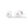 White Shell Pearl