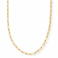 Paperclip Chain Necklace (20-22 Inches) in ION Plated YG Stainless Steel