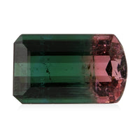 AAA Bi Color Tourmaline (Oct 13.68x8.25 mm) (Del. In 10-12 Days) 7.67 ctw