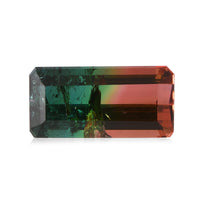 AAA Bi Color Tourmaline (Oct 15.73x7.87 mm) (Del. In 10-12 Days) 7.03 ctw