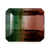AAA Bi Color Tourmaline (Oct 11.78x10.16 mm) (Del. In 10-12 Days) 9.60 ctw