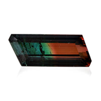 AAA Bi Color Tourmaline (Oct 21.57x17.26 mm) (Del. In 10-12 Days) 11.18 ctw