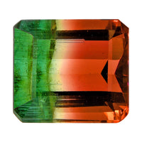 AAA Bi Color Tourmaline (Oct 11.2x10.07 mm) (Del. In 10-12 Days) 6.38 ctw