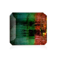AAA Bi Color Tourmaline (Oct 8.77x7.75 mm) (Del. In 10-12 Days) 3.58 ctw