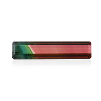 AAA Bi Color Tourmaline (Oct 31.31x7.26 mm) (Del. In 10-12 Days) 12.96 ctw