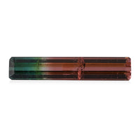 AAA Bi Color Tourmaline (Oct 27.7x5.11 mm) (Del. In 10-12 Days) 7.15 ctw