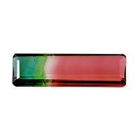 AAA Bi Color Tourmaline (Oct 22.09x6.46 mm) (Del. In 10-12 Days) 5.75 ctw