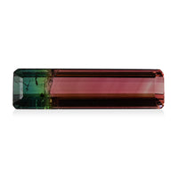 AAA Bi Color Tourmaline (Oct 23.60x6.39 mm) (Del. In 10-12 Days) 6.63 ctw