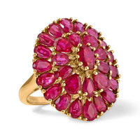 D'Joy Premium Niassa Ruby (FF) Ring in 18K Vermeil YG Over Sterling Silver (Size 5.0) 8.75 ctw