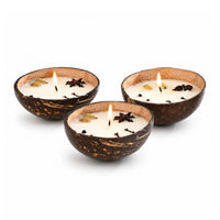 Livmore Multi Color Set of 3 Coconut Candle in Vanilla and Oudh