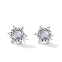 EverTrue Lapis Lazuli Earrings in Platinum Over Copper 16.65 ctw
