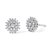 Luxuriant Lab Grown Diamond (G-H, SI) Cluster Earrings in Rhodium Over Sterling Silver 0.50 ctw