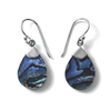 Abalone Shell