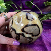 Septarian Sphere 2.5-3.5