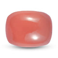 MainImage - Sticky add to cart bar