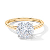 10K Yellow Gold