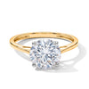 10K Yellow Gold