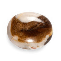 Peanut Wood Jasper (Ovl 11x9 mm) 2.44 ctw
