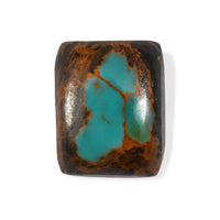 AA Sierra Nevada Turquoise (Cush 10x8 mm) 2.50 ctw