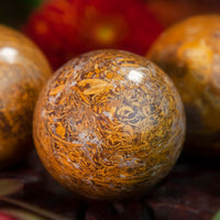 Sanskrit Jasper Sphere 1.5-2" Approx 1195Ctw