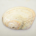 MainImage - Sticky add to cart bar