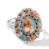 Spiny Turquoise
