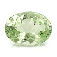 AAAA Mint Tsavorite Garnet (Ovl Free Size) 1 ctw