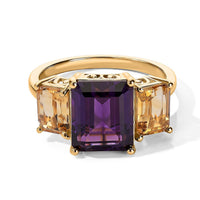 EverTrue African Amethyst, Brazilian Citrine Fancy Ring in 18K YG Plated (Size 11.0) 8.65 ctw