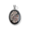 Insect Fossil Jasper