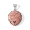 Petoskey Stone
