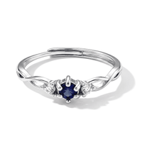 Blue Sapphire and Simulated Diamond 1.10 ctw Ring in Silvertone (Adjustable)