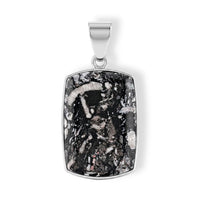 Insect Fossil Jasper 20.00 ctw Pendant in Silvertone