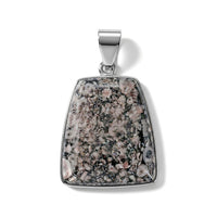 Insect Fossil Jasper 27.00 ctw Trapezoid Pendant in Silvertone