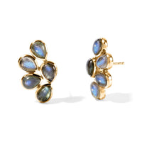 D''Joy Malagasy Labradorite 8.50 tcw Cluster Earrings in 18K Vermeil Yellow Gold Over Sterling Silver