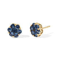 D''Joy Premium Montana Sapphire Mountain Bloom Earrings in 18K Vermeil YG Over Sterling Silver 2.25 ctw