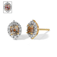 D''Joy AAA Turkizite and Moissanite 1.60 ctw Earrings in 18K Vermeil Yellow Gold Over Sterling Silver