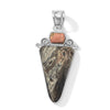 Insect Fossil Jasper
