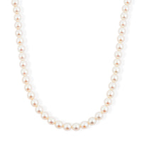 Akoya Pearl Necklace in Sterling Silver 15 Inches