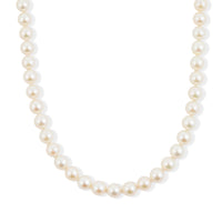 Japanese Akoya Pearl Sterling Silver Necklace in 20 Inches