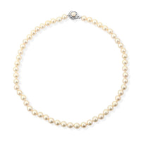Japanese Akoya Pearl Necklace in Sterling Silver 19 Inches