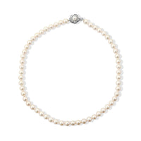 (16 Inches) Japanese Akoya Pearl Necklace in Sterling Silver