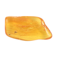 Yellow Amber Specimen with Box -Large