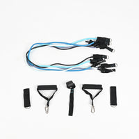 Shelter Fitness Set of 11 Multifunctional Resistance Bands