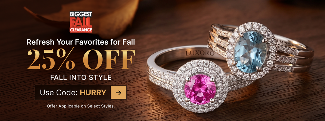 BIGGEST FALL CLEARANCE