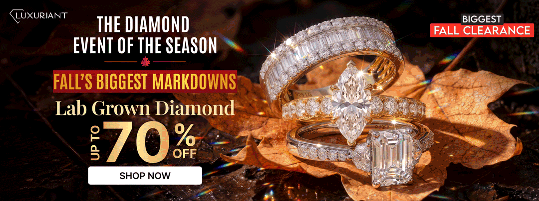 BIGGEST FALL CLEARANCE