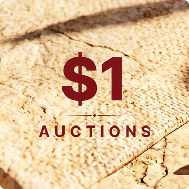 $1 Auctions