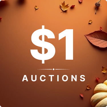 $1 Auctions