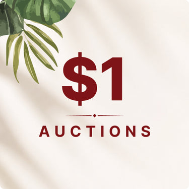 $1 Auctions