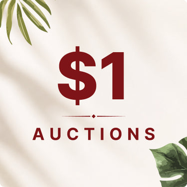 $1 Auctions